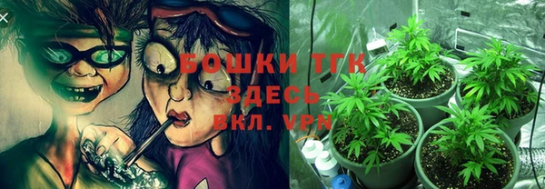 амф Алексеевка